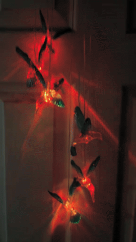 Campanillas Viento de Colibrí Luces LED