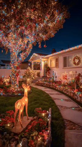 Luces Navidad Solar 5m 20led