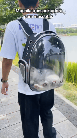 Mochila Estilo Espacial Para Mascotas